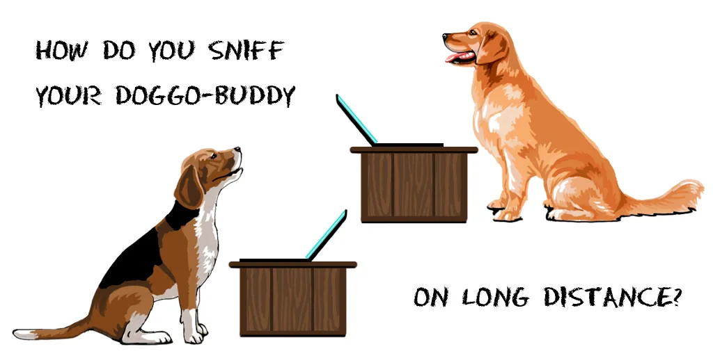 Existing Solutions Research - How do you sniff your doggo-buddy on long distance?