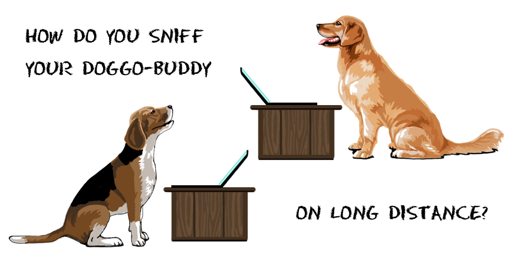 Existing Solutions Research - How do you sniff your doggo-buddy on long distance?