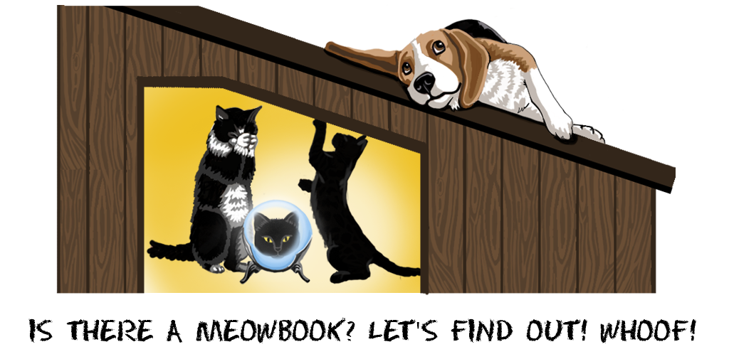 Competitor Analysis - Is there a MeowBook? Let's find out! Whoof!