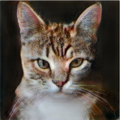 neural network generated cat4